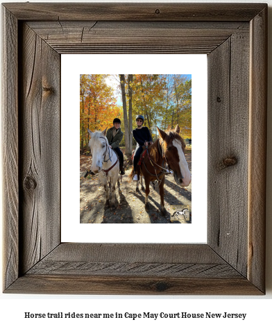 horse trail rides near me in Cape May Court House, New Jersey